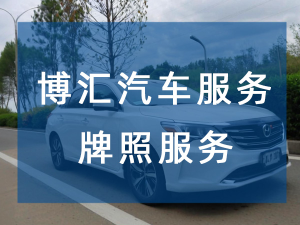 牌照服务